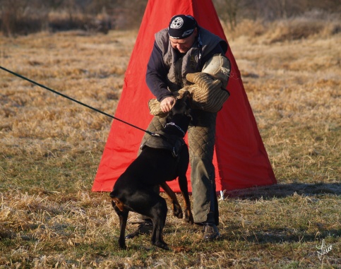 The christmas training 27.12.2006